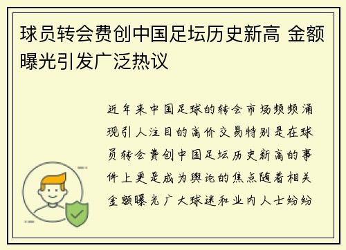 球员转会费创中国足坛历史新高 金额曝光引发广泛热议